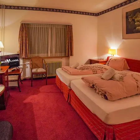 Hotel Villa Silvana 2*